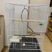 قفس عروس و طوطی با تجهیزات