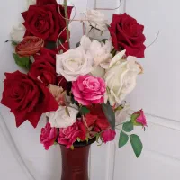 گلهای رز مخملی