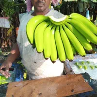 نیاز به حسابدار