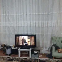 پرده|پرده، رانر، رومیزی|گرگان, |دیوار