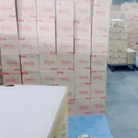 کارهای ساختمانی و باغبانی|خدمات باغبانی و درختکاری|اندیمشک, |دیوار