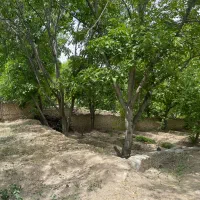 ویلاباغ۱۵۰۰زمین۱۵۰بناجنگلی سندششدانگ درمهرابادنوده|فروش خانه و ویلا|رودهن, |دیوار