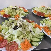 تهیه غذای ایرانی وفرنگی با بهترین سرآشپز