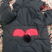 کاشپن درحد نو