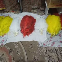حراج شاه پر علامت