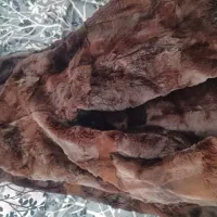 کفش کیف لباس به علت مهاجرت فوری|لباس|پردیس, فاز ۳|دیوار