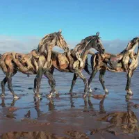 اسب عرب زیبایی و کورسی یکسر دوسر