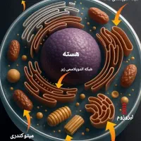 تدریس علوم وزیست شناسی