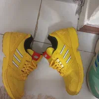 کتونی zx8000 اورجینال ادیداس لگو|کیف، کفش، کمربند|پرند, فاز ۳|دیوار