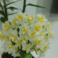 تدریس خصوصی در منزل ساعتی ۱۰۰هزار