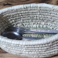 جا قاشقی کپو