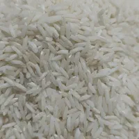 برنج هاشیمی
