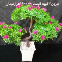 تولیدی گل مصنوعی ظریف انواع گل مصنوعی به قیمت عمده|گل مصنوعی|یزد, |دیوار