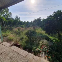 زمین و ویلا در بافت مسکونی|فروش خانه و ویلا|مرزیکلا, |دیوار