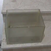 آکواریوم|ماهی|کامیاران, |دیوار