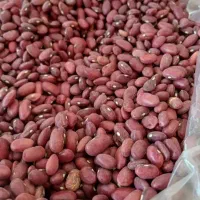 لوبیا کیلویی۲۰۰