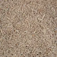 فروش جو آبی0