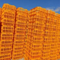 قفس حمل مرغ زنده