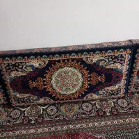 ۳جفتپشتیدرحدنو