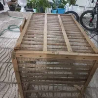 قفس|لوازم جانبی حیوانات|شاهین‌شهر, شهرک گلدیس|دیوار