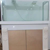 میز آکواریوم جاکفشی