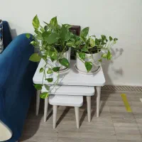 مبل به همراه جلومبلی