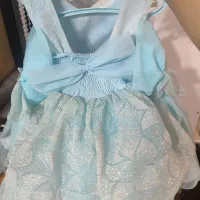 لباس مجلسی دخترانه|لباس|رباطکریم, رباطکریم|دیوار