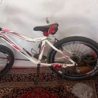 دوچرخه شکاری|دوچرخه، اسکیت، اسکوتر|گنبد کاووس, |دیوار