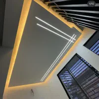 نیرو کار جوان