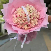رز هلندی تعداد بالا