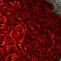 سفارش گل روبانی|گل مصنوعی|ساری, |دیوار