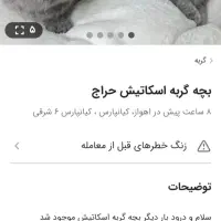 کسی ازاین اگهی خریدنکنه