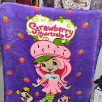 عنواع پتو های شب نما بچگونه و غیره|رختخواب، بالش، پتو|ابهر, |دیوار