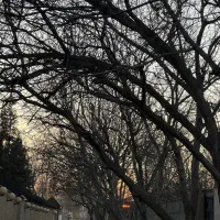 باغ-1300-متری-تهران-دشت-کردان