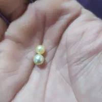 فروش مروارید اصل