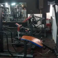 دستگاه سینه وپا|تجهیزات ورزشی|فریمان, |دیوار