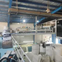 استخدام نیروی کار