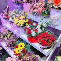گل مصنوعی|گل مصنوعی|برازجان, |دیوار