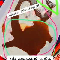 فال موکلدار قهوه و تاروت و ورق|فعالیت داوطلبانه|شیراز, ارم|دیوار
