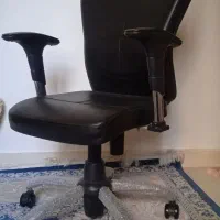 صندلی|صندلی و نیمکت|بندرعباس, |دیوار