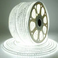 ریسه شلنگی وایرلس ، هفت رنگ (RGB) و نئون اقساط|لامپ و چراغ|کرمان, |دیوار