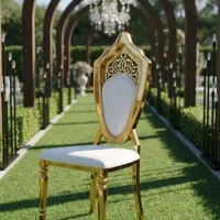 صندلی delara تالار