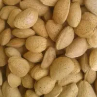 بادام سنگی