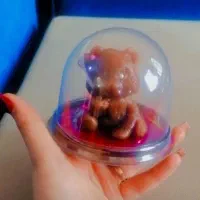 پخش محصولات ترشیجات دستچین..