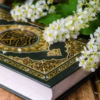سرکتاب کاملا دقیق وبشرط ۱۰۰٪