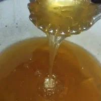 عسل درجه یک کبیر کوه