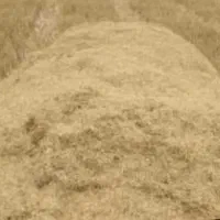 کاه جو و گندم
