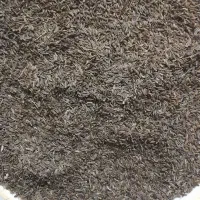 زیره کوهی درجه یک کلات