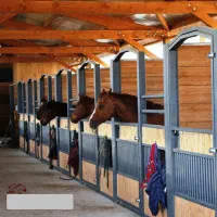 پرورش و نگهداری اسب