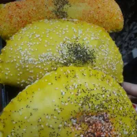 سمبوسه پیراشکی